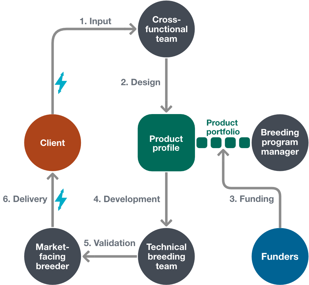 Product Profiles Are A Blueprint For Breeding With Impact ...